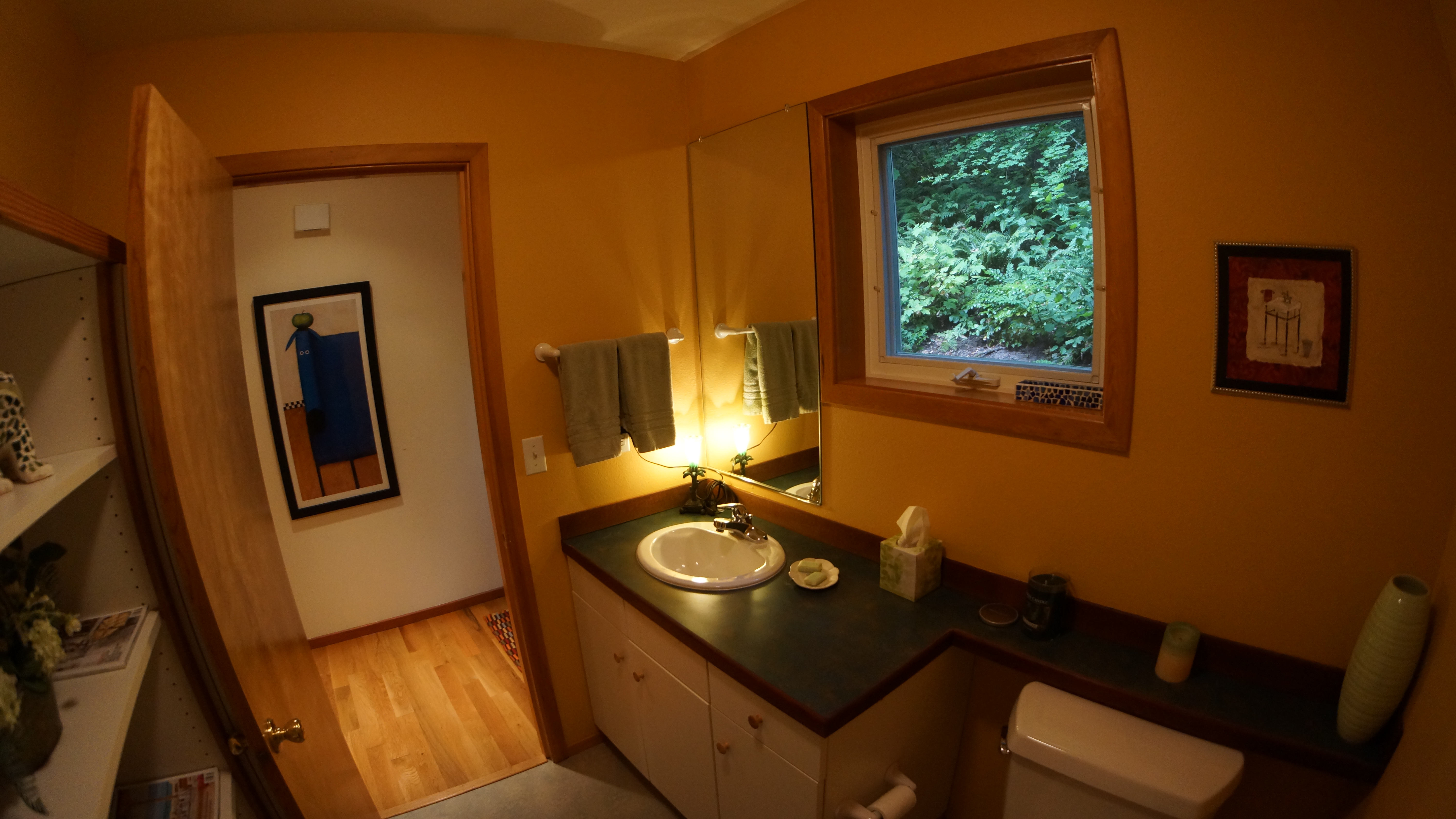 Even your Guest Bathroom has Forest Views.